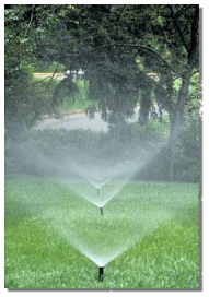 Irrigation system in use